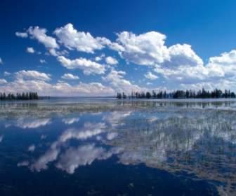 Yellowstone Lake Fond D'écran Paysage Nature