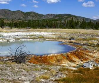 Scenario Di Parco Nazionale Di Yellowstone Colorato