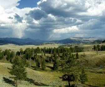 Taman Nasional Yellowstone Wyoming Usa