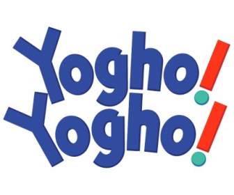 Yogho Yogho