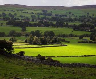 Campagne D'Yorkshire Dales
