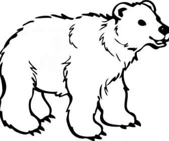 若いクマをクリップアートします。