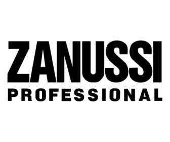 ZANUSSI Professional