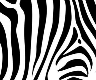 Latar Belakang Zebra