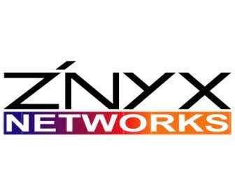 Znyx Networks