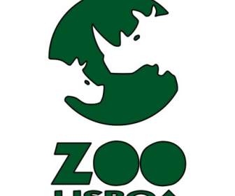 Zoo De Lisbonne