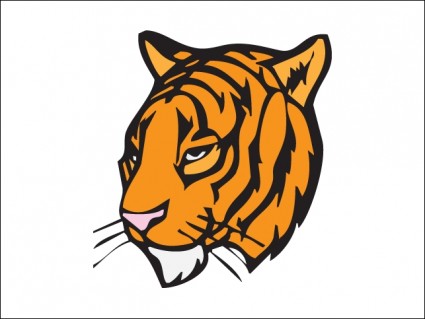 Tiger Kopf