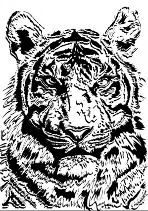 Harimau gambar vektor