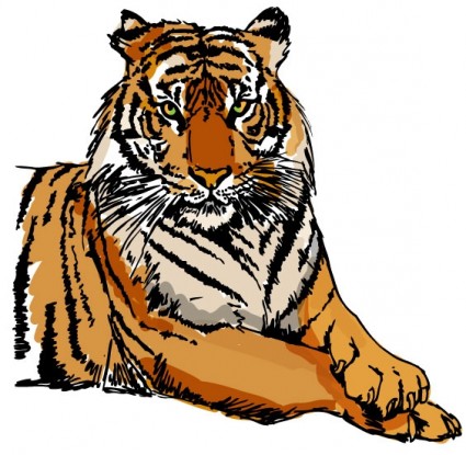 tigre immagine vettoriale