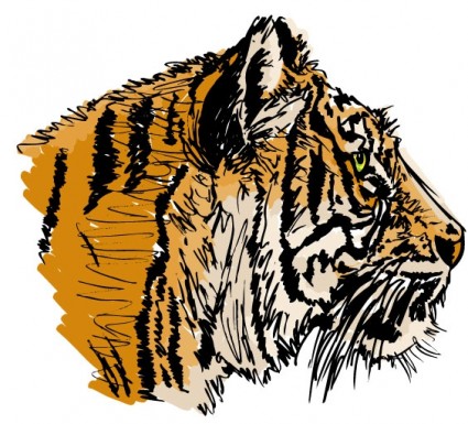 Tygrys wektor wyobrażenie o osobie