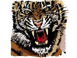 tigre immagine vettoriale