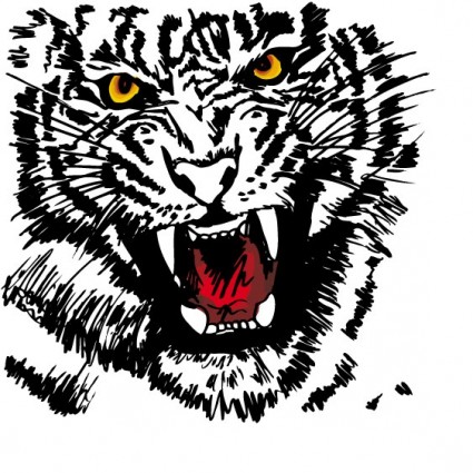 Tiger Image Vector