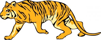 tigre05 ปะ