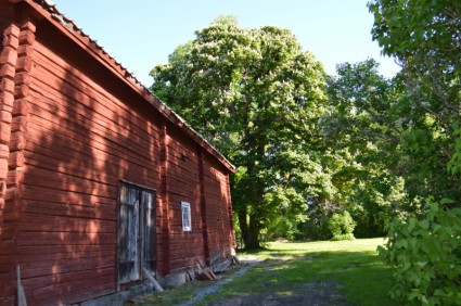 木材小屋紅房子夏天
