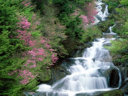 Tochigi Prefecture Wallpaper Waterfalls Nature