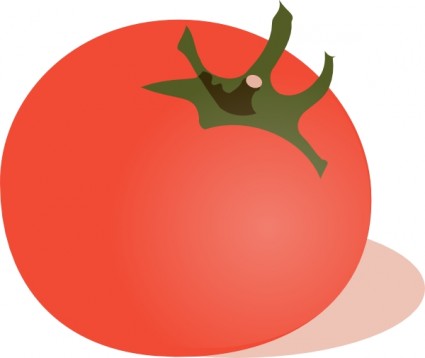 clip art de tomate