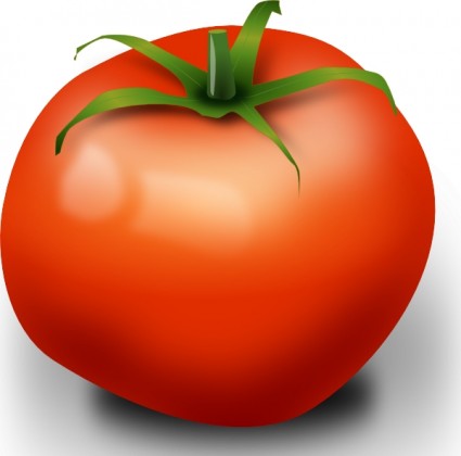 clipart de tomate