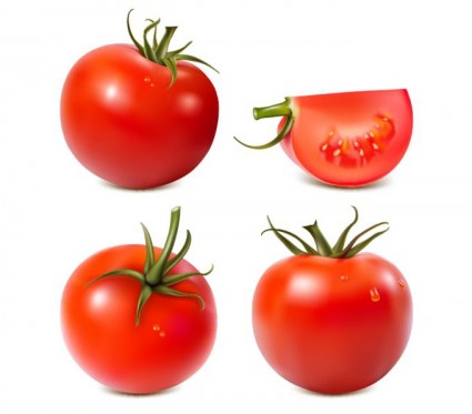 tomat vektor