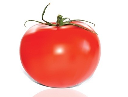 vector de tomate