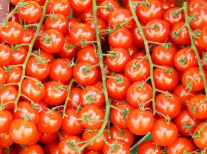 cà chua tomatenrispe rau