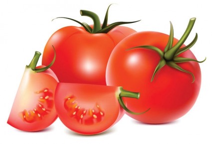 vector de tomates