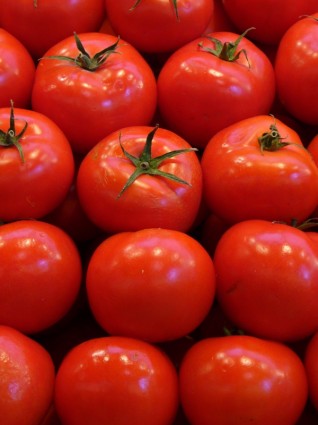verduras tomates rojos