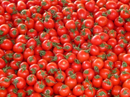 verduras tomates rojos