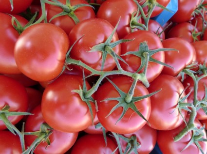 Rote Tomaten Gemüse