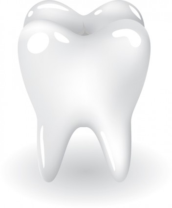 Zahn Zähne