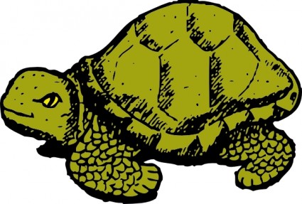 clip art de tortuga