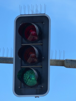إشارات المرور منارة قواعد الطريق