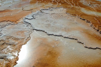 park narodowy yellowstone mamuta gorących źródeł trawertyn