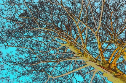 pohon warna sketsa