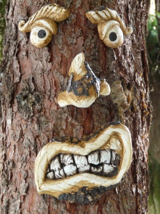 pohon wajah pohon Roh pohon
