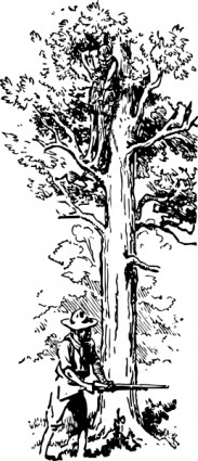 clip art de árbol planta