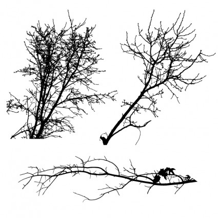 silhouettes d'arbre