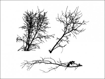 silhouettes d'arbre