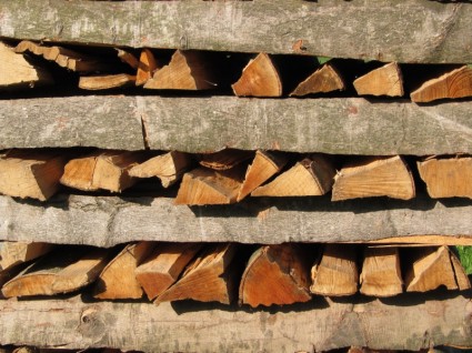 madeira de lenha de madeira de árvore
