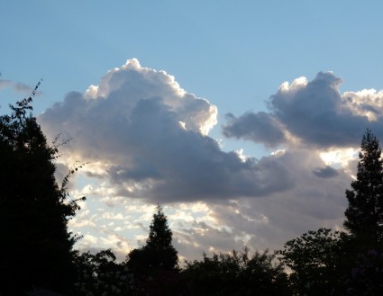 Treeframed Cloud