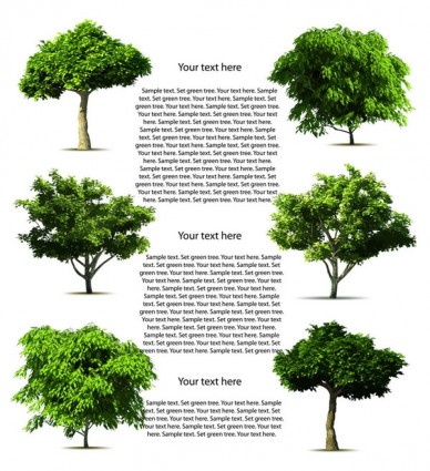 樹木向量
