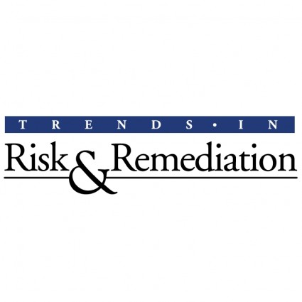 tendencias en remediación de riesgo