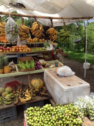 Tropische Früchte-stand