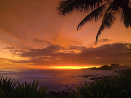 tropischen Sonnenuntergang Tapete Landschaft Natur