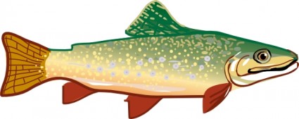 trout clip art