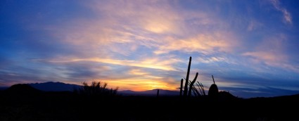 mặt trời mọc Tucson