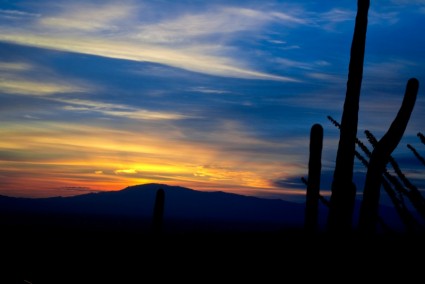 mặt trời mọc Tucson