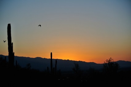 lever du soleil de Tucson