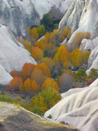 musim gugur tufa valley