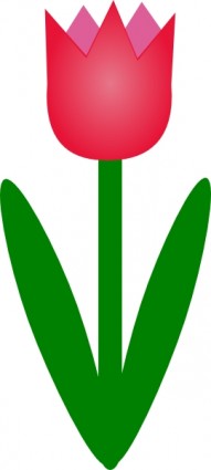 clip art de tulipán