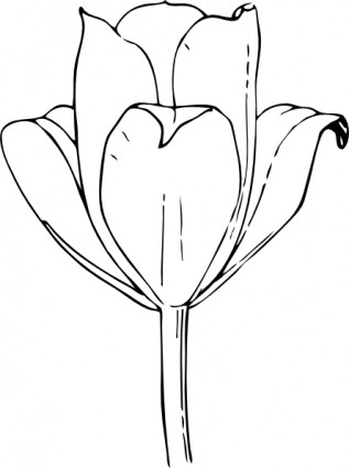 arte de grampo de flor tulipa